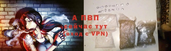 сатива Нягань