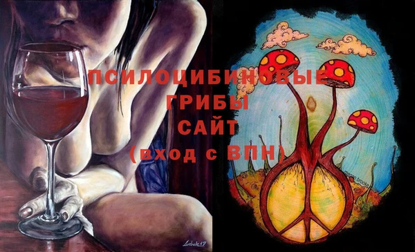 молекула духа Нязепетровск