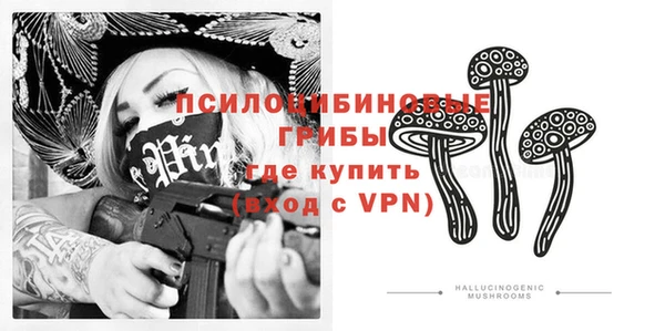метадон Няндома