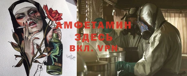 сатива Нягань
