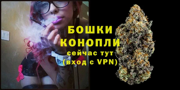 сатива Нягань