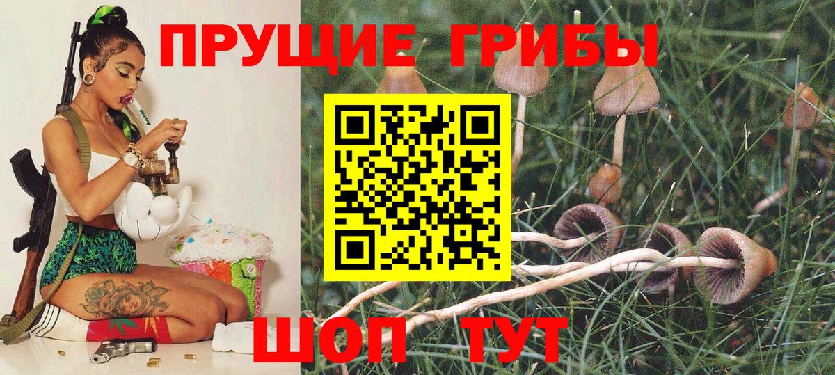 Псилоцибиновые грибы MAGIC MUSHROOMS  Вход с VPN  сколько стоит  Балабаново 